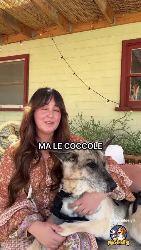Il Divano È Mio, Mamma 🛋️🐶