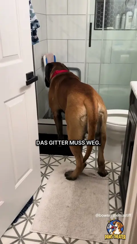 Der Klo-Wächter 🐶🚽
