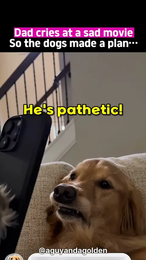 Dad cries at a sad movie… so the dogs made a plan #shorts