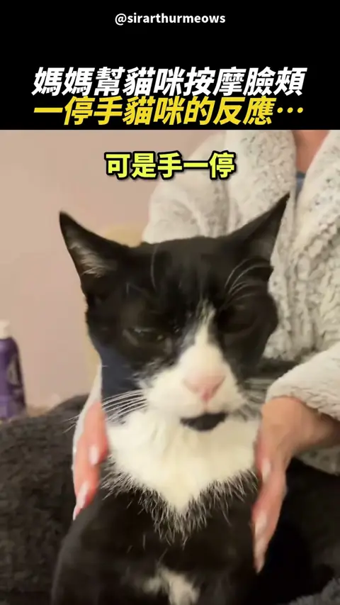 手停了?誰准你停 😾💆